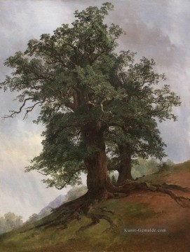  landschaft - alte Eiche 1866 klassische Landschaft Ivan Ivanovich Bäume